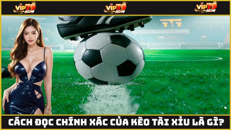 Cách đọc chính xác của kèo tài xỉu là gì?