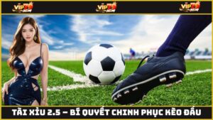 tài xỉu 2.5