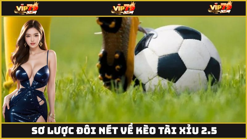 Sơ lược đôi nét về kèo tài xỉu 2.5
